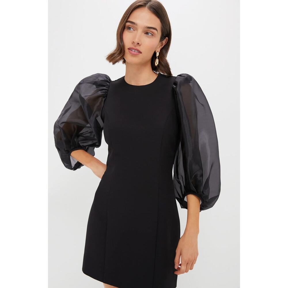 Tuckernuck Black Mini Dress with Sheer Puff Sleeves